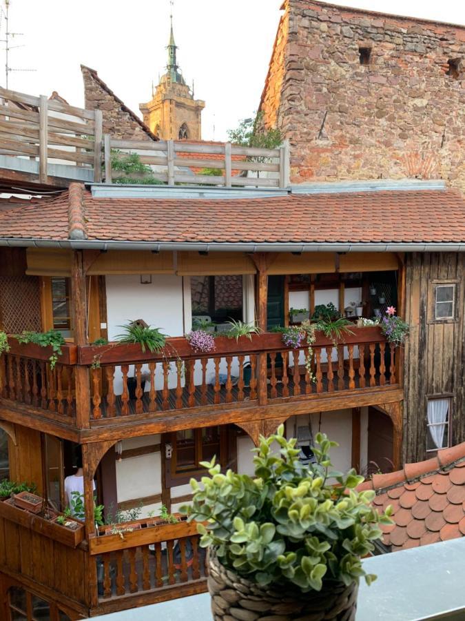 Coquet Studio Colmar Centre Экстерьер фото